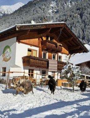Permadieshof L Sankt Leonhard Im Pitztal